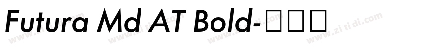 Futura Md AT Bold字体转换